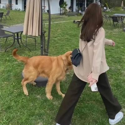 水妈咪海报