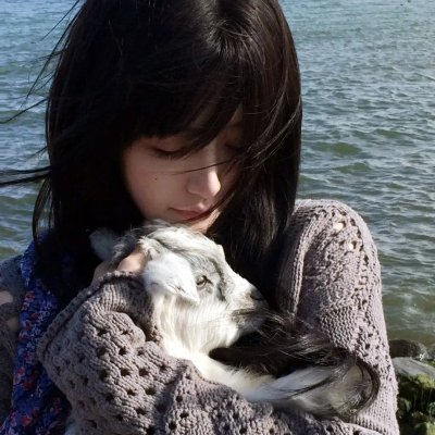 断肠草海报